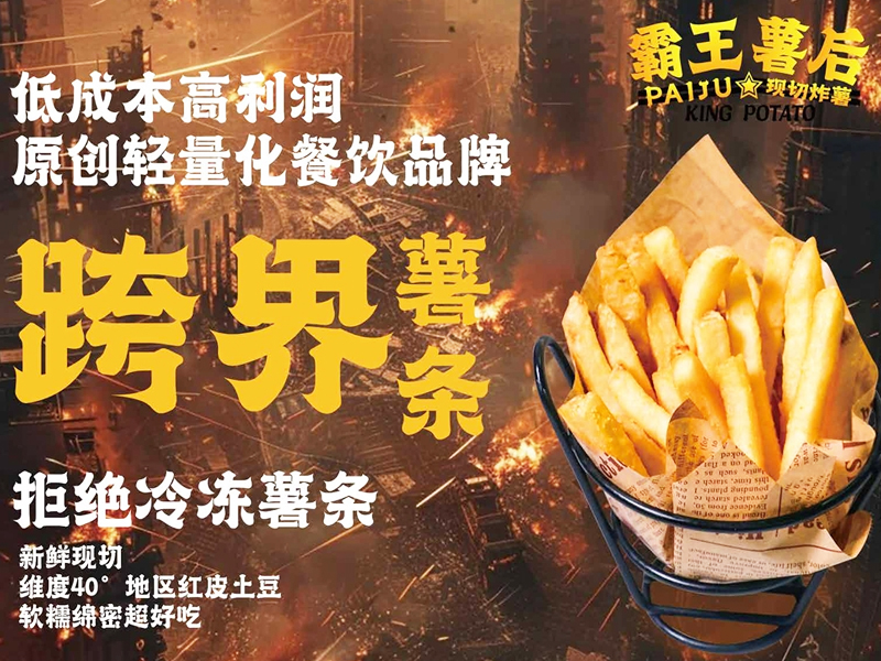 薯條專門店：美食新寵，風靡全城！